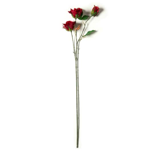 Rose Spray by Ashland
